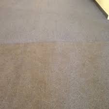 northern colorado carpet cleaning