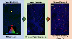 Plumbojarosite Remediation Of Soil