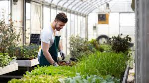 hiring guide for starting a plant nursery