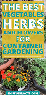 Flowers For Container Gardening