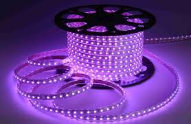 High Voltage Waterproof Led Rope Lights 220v 5050 60d Purple Led Ribbon Lights