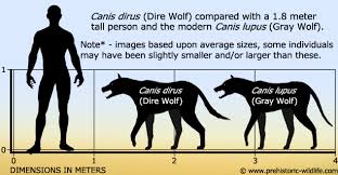 39 Expository Dire Wolf Size Chart