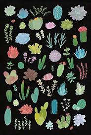 Amazon Com Succulent Chart I Poster Print By Wild Apple