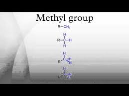نتیجه جستجوی لغت [methyl] در گوگل