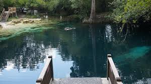The park contains silver springs, florida's first tourist attraction. Springs Of The Suwannee River Valley Florida Hikes