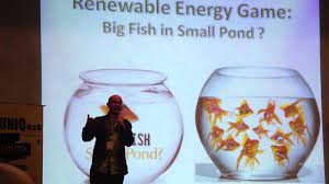 renewable energy game big fish in