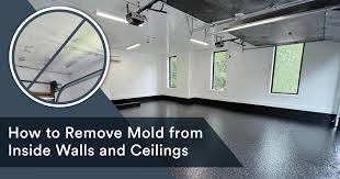 How To Remove Mold From Inside Walls