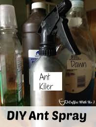 diy ant spray ant repellent coffee