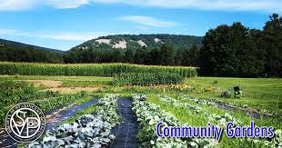 Community Gardens Society Of St