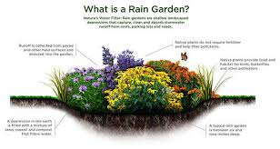 Rain Garden Add Beauty Function To
