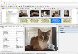 With support for multiple tabs, this straightforward application lets you view images regardless of their format. Viewing Exif Data With Xnviewmp