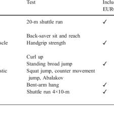 summary of health fitness tests