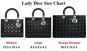 Lady Dior Size Chart In 2019 Dior Purses Christian Dior