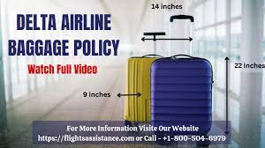 delta airlines bage policy