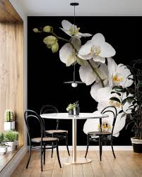 3d white orchid flower wallpaper wall