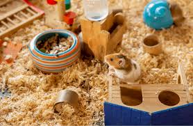 is acrylic paint safe for hamsters