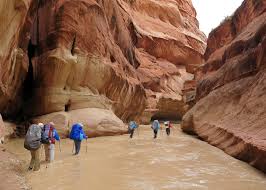 For a shorter day hike, take the wire pass trailhead for a shortcut to buckskin gulch that will still provide you with some stunning views of the most. Backpack Paria Canyon Arizona Utah Sierra Club Outings
