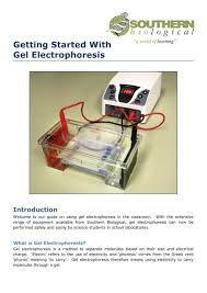 gel electropsis