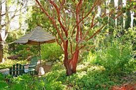 arlington garden hidden california