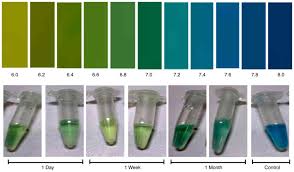 Extended Low Oxygen Transmissibility Contact Lens Use