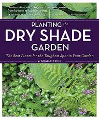 Planting The Dry Shade Garden The Best