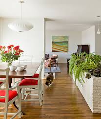Indoor Plants For Your Interior