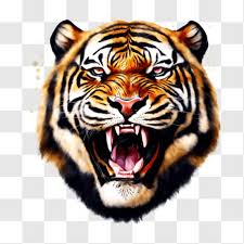 tiger face png free