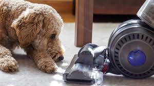 best vacuum for pet hair 2023 tested