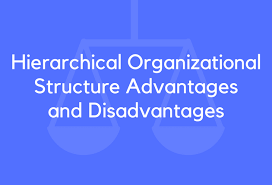 15 Hierarchical Organizational Structure Advantages And