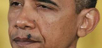 Image result for Obama is satanic