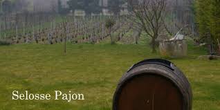 セロス・パジョン サクル・ブラン・グラン・クリュ（アヴィズ）NV/ Selosse Pajon Sacre Blanc Grand Cru  (Avize)【シャンパーニュ】/Cave de Terre Online Wine