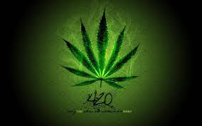 200 weed wallpapers wallpapers com