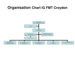 Ppt Organisation Chart Ig Fmt Croydon Powerpoint