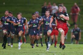 rugby crusaders steamroll reds in
