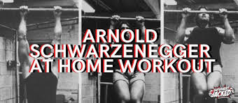 arnold schwarzenegger home workout
