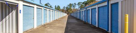 summerville sc self storage auctions