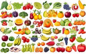 a colorful ilration of fruits and