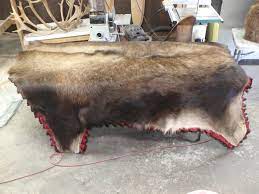 moose flat rug alaska precision taxidermy