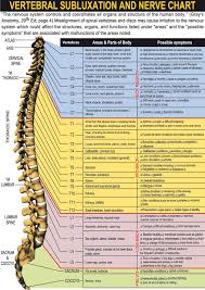 Vertebral Subluxation And Nerve Chart On Meducation