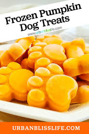 frozen pumpkin dog treats recipe