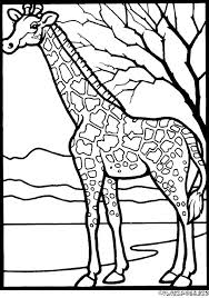 Dessiner une simple girafe avec un crayon. Dessin D Une Girafe