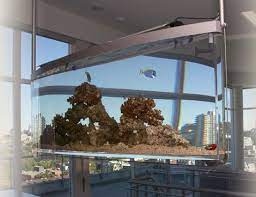 Ceiling Mounted Aquarium By Aquarium