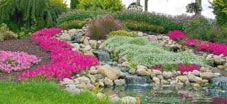 how to build rock gardens everything