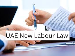 uae new labour law 2023 notice period