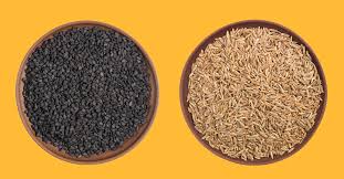 Black seed oil is the oil obtained from black seeds. Black Cumin Which Is Which