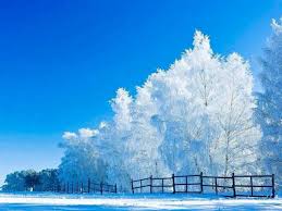 Image result for iarna cu soare poze