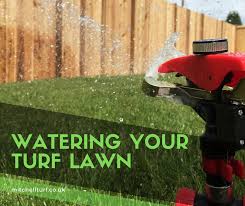 Let's talk about how often to water your lawn in summer, how long to water your plants, what time of day is best for summer watering and other how much water does my lawn need? How Often To Water Lawn In Summer Mitchell Turf
