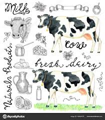 Design Set With Cow Dairy Natural Products Milk Lettering