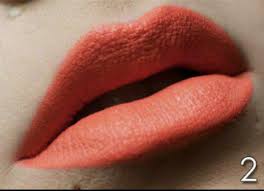 makeup revolution salvation velvet lip