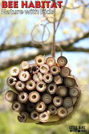 build a bee hotel little bins for